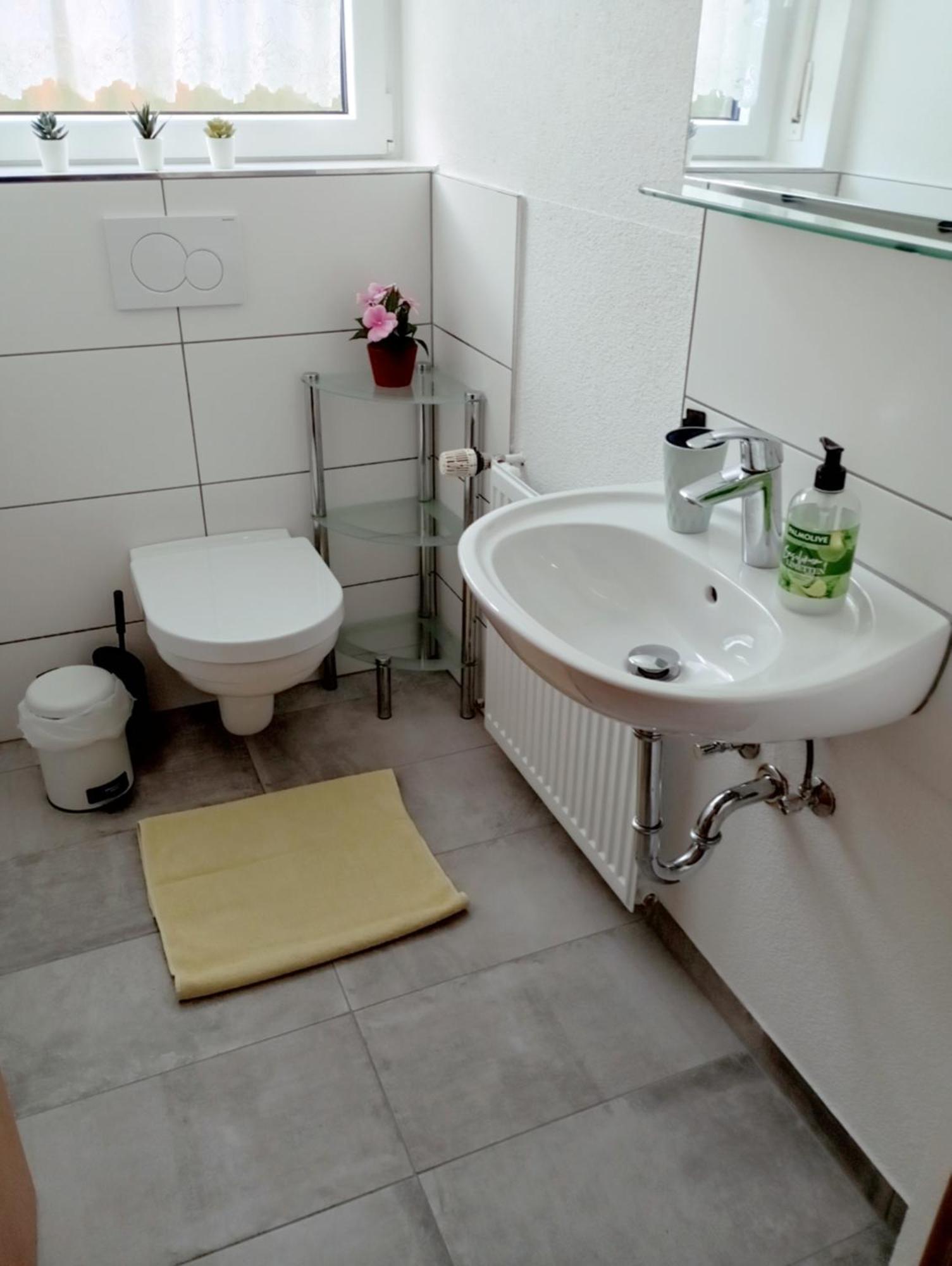 Haemmerle Fewo Holiday Apartment - Green Konstanz Luaran gambar